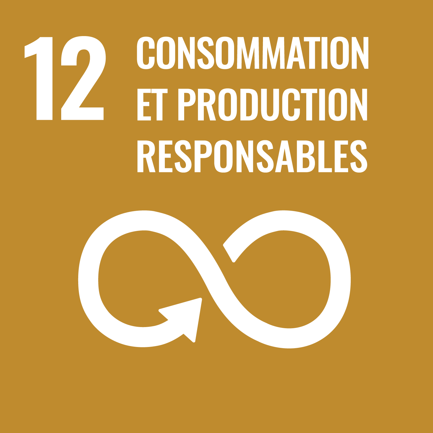 Objectif de développement durable : ODD 12 - Consommation et productions responsables