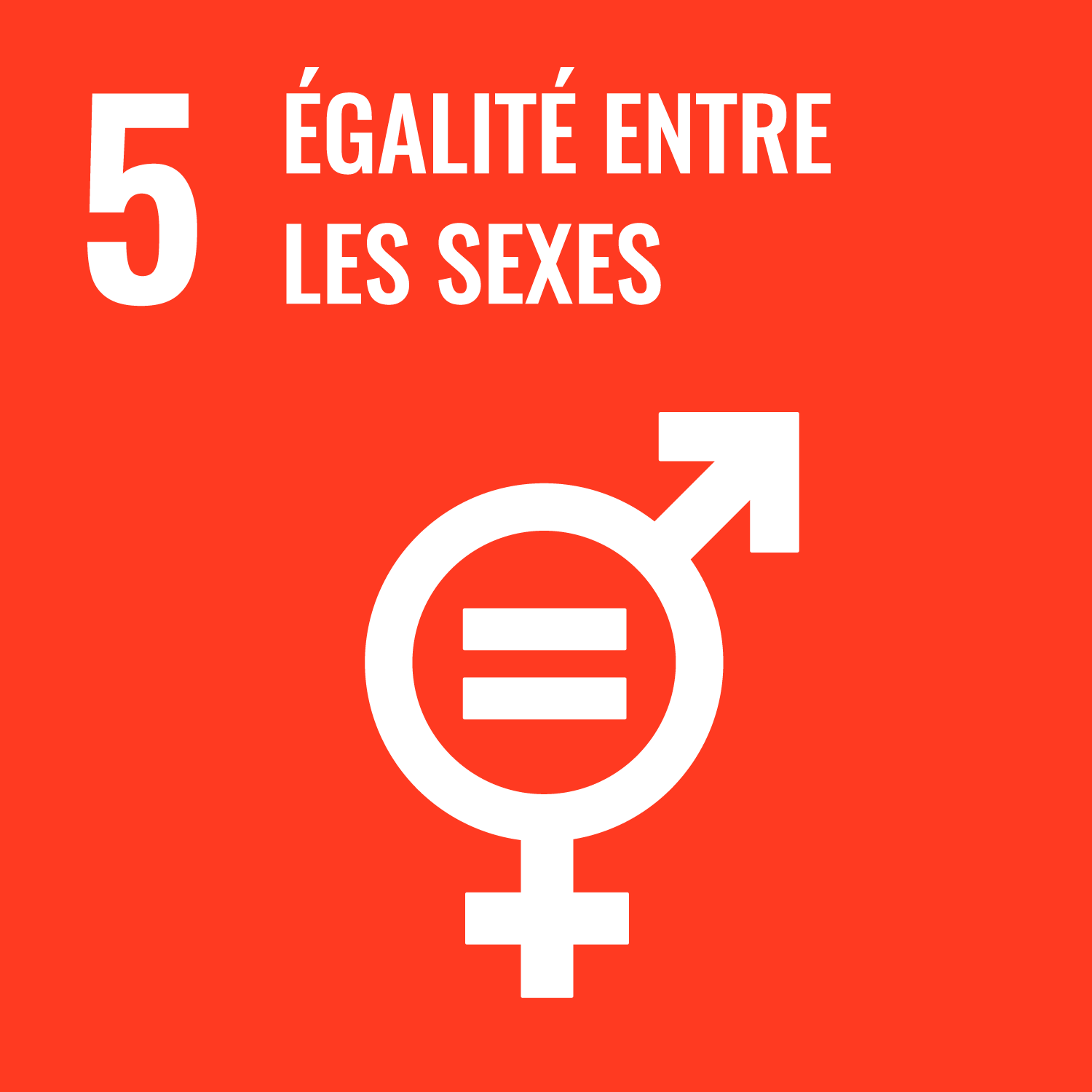 Objectif de développement durable : ODD 05 - Égalité entre les sexes