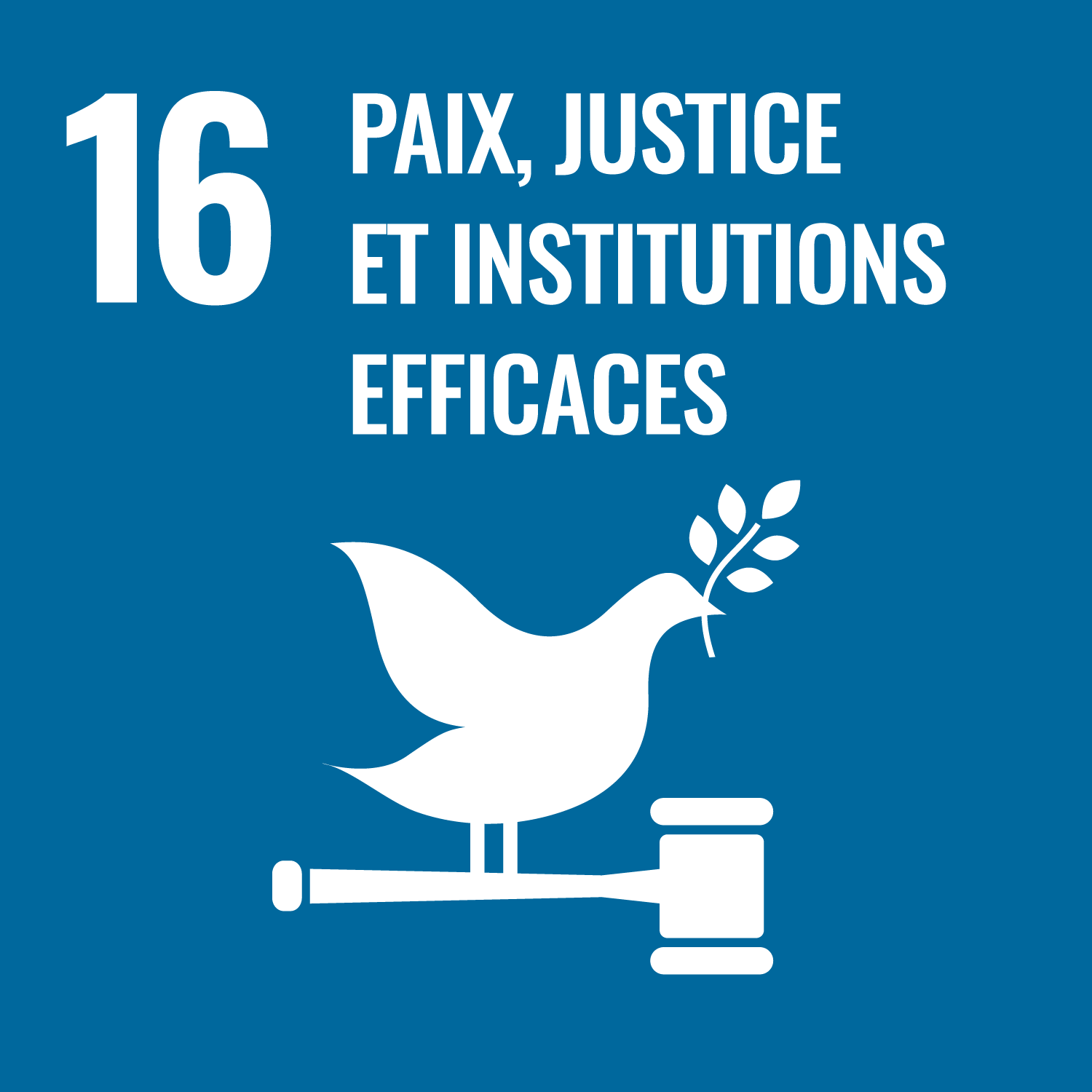 Objectif de développement durable : ODD 16 - Paix, justice et institutions efficaces