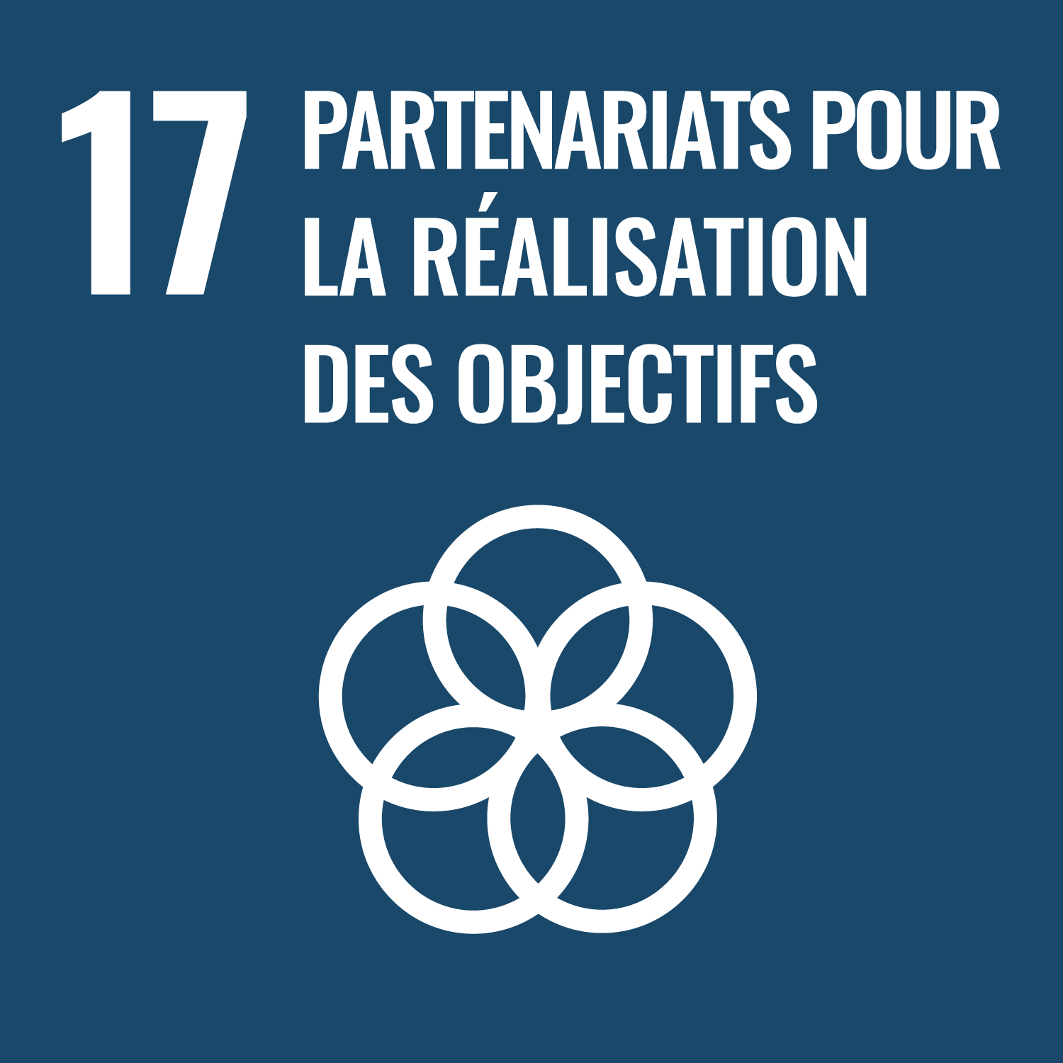 Objectif de développement durable : ODD 17 - Partenariat pour la réalisation des objectifs