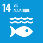 ODD 14 - Vie aquatique