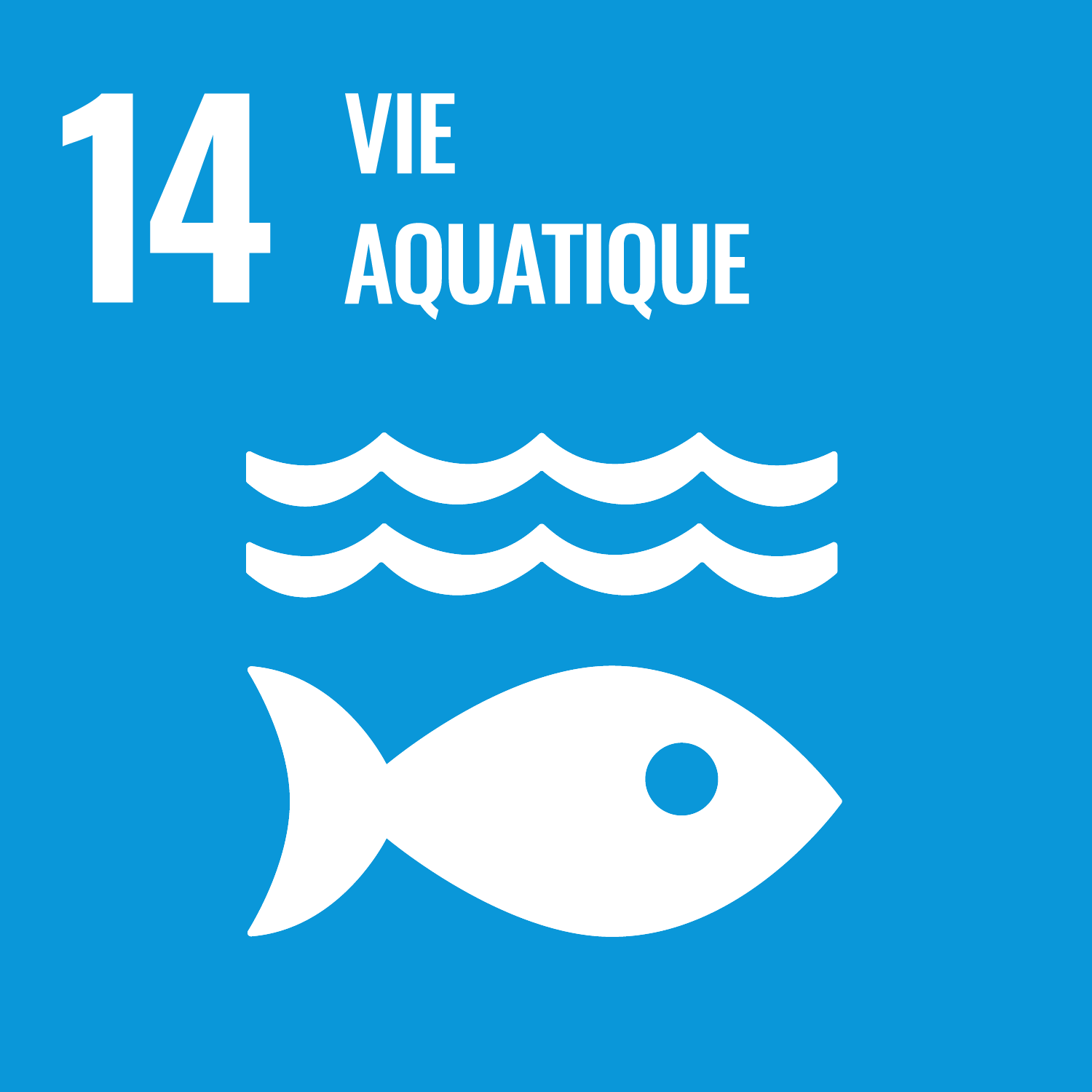 Objectif de développement durable : ODD 14 - Vie aquatique