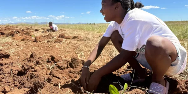 Article de L'express de Madagascar
